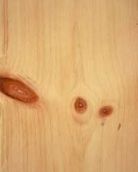 - Holzkunde - Holzart - Zirbelkiefernholz