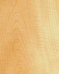 Ahornholz - Holzkunde