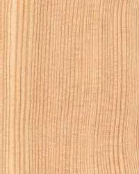 - Holzkunde - Holzart - Lärchenholz